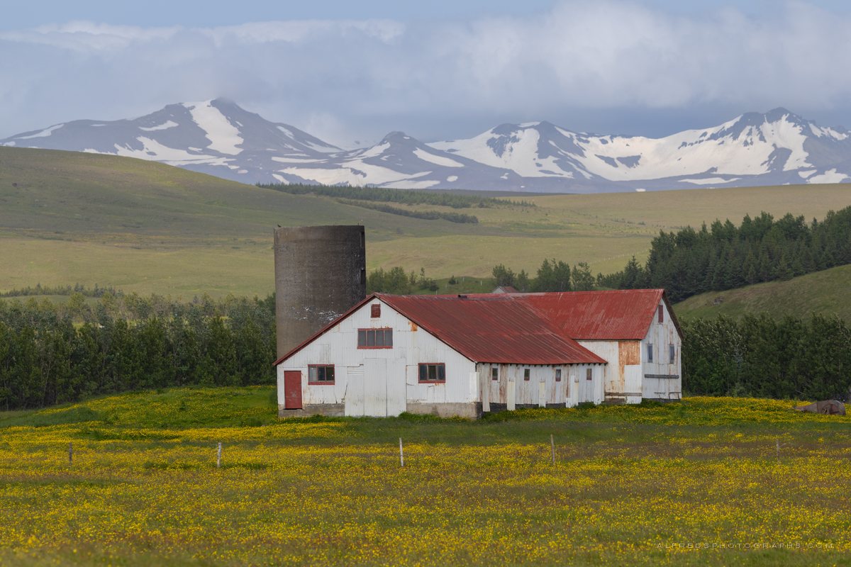 Landscape, Iceland, July 2026