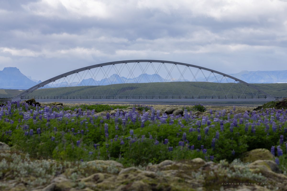 Landscape, Iceland, July 2026